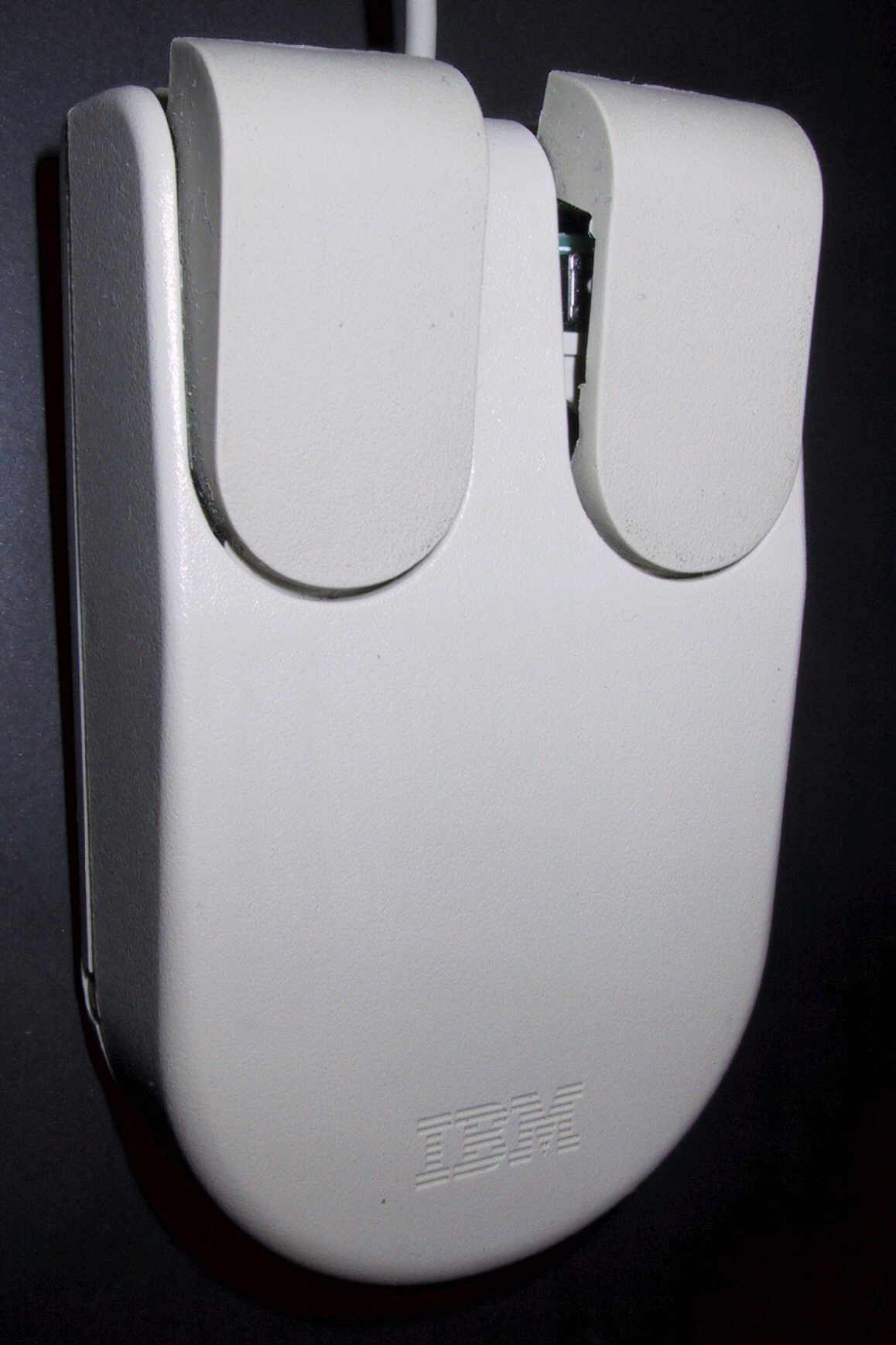 Maus