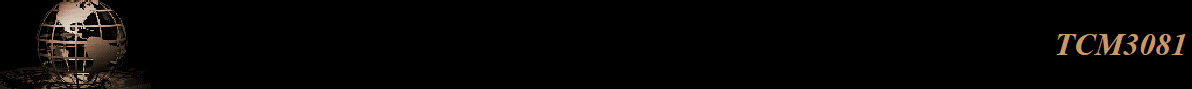 TCM3081