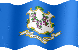 Connecticut flag-XL-anim