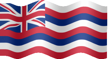 Hawaii flag-XL-anim