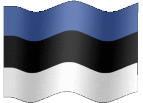 Estonia flag-XL-anim
