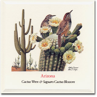 arizona_card