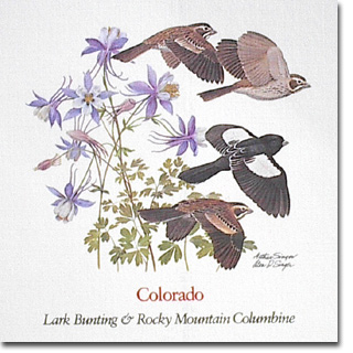 colorado_card