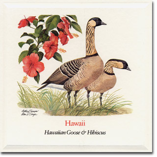 hawaii_card