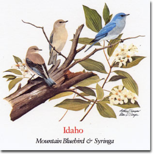 idaho_card