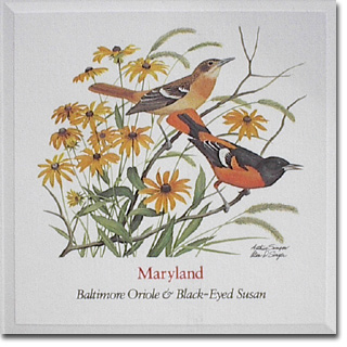 maryland_card