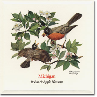 michigan_card