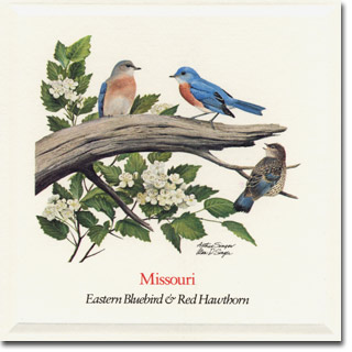 missouri_card