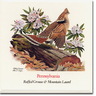 pennsylvania_card