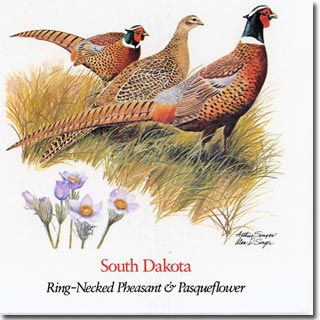 southdakota_card