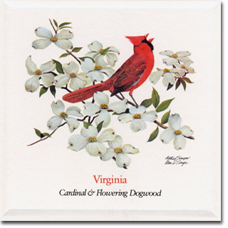 virginia_card