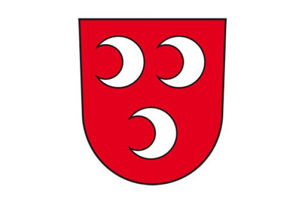 SaulheimFlag