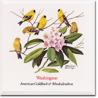 washington_card