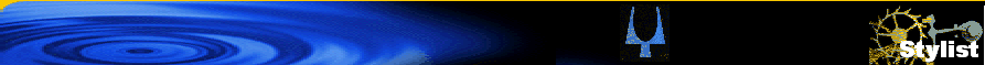 Stylist