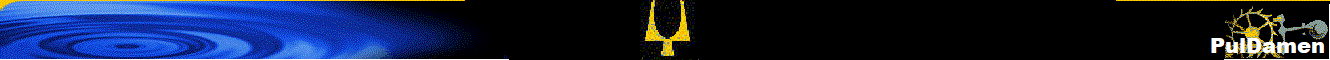 PulDamen