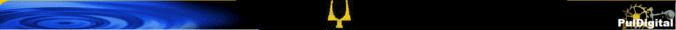 PulDigital