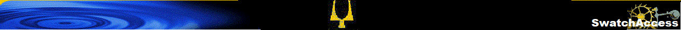 Swatch Access