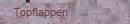 Topflappen