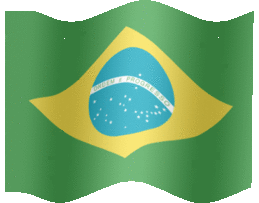 Brazil flag-XL-anim