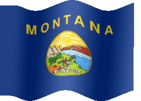 Montana flag-XL-anim