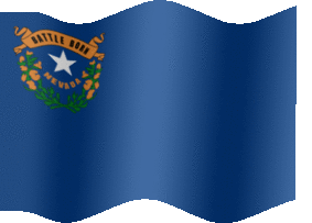 Nevada flag-XL-anim