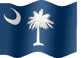 South Carolina flag-XL-anim
